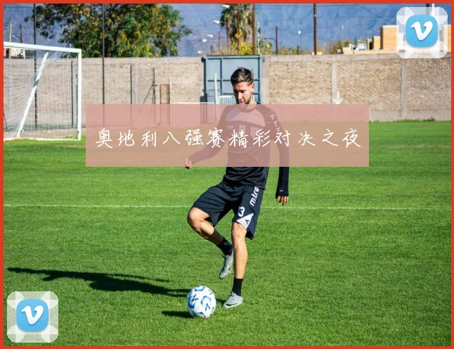 奥地利八强赛精彩对决之夜 - v66官网